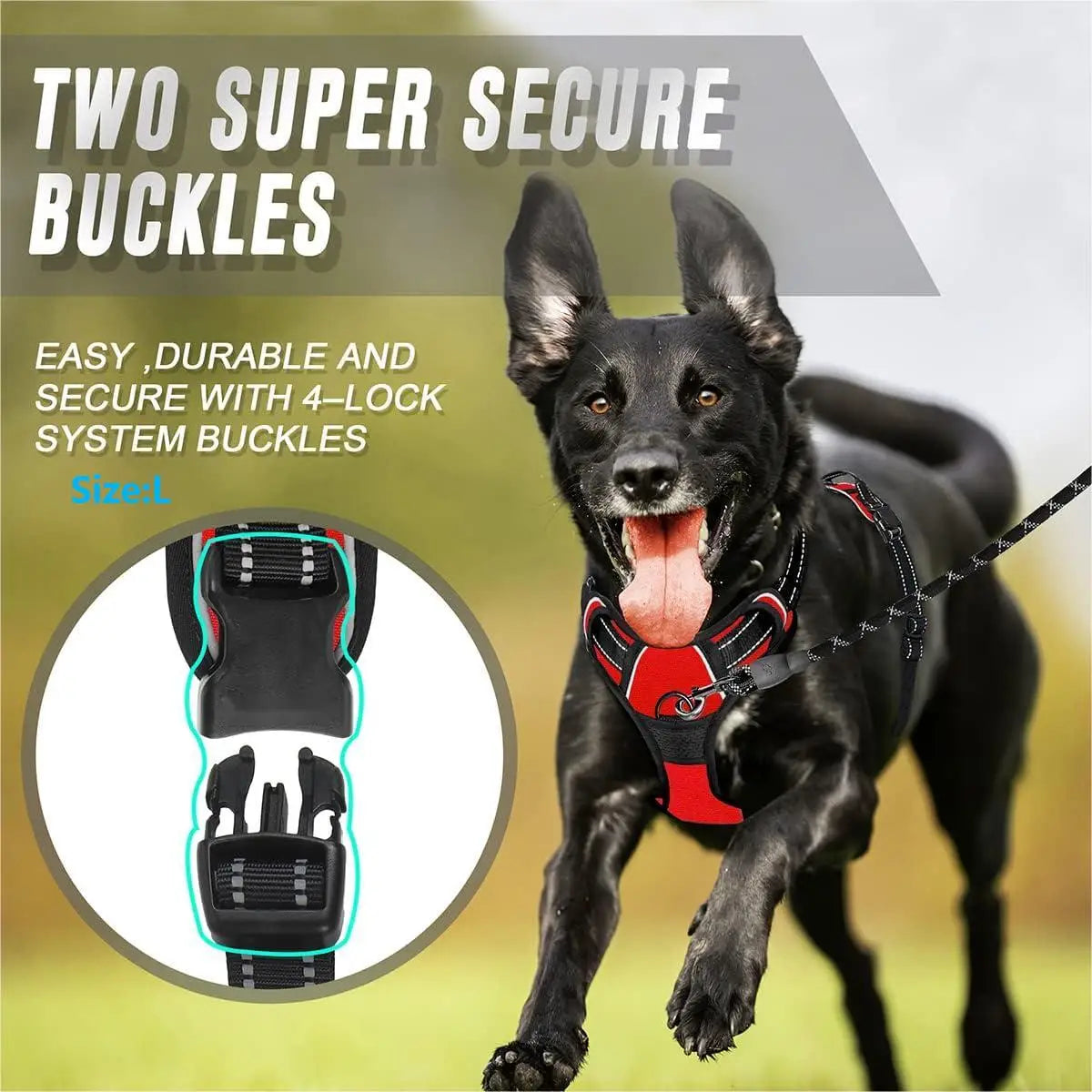 No-pull, heavy duty, reflective dog harness