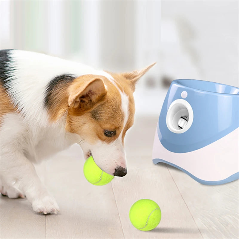 Automatic tennis ball launcher for dogs (fun and interactive)