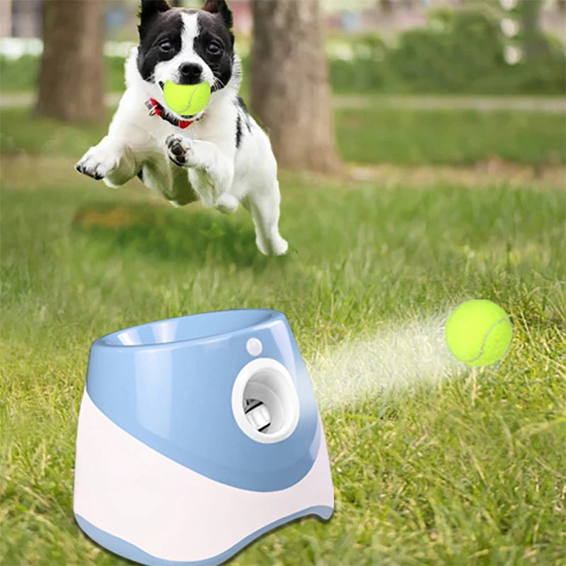 Automatic tennis ball launcher for dogs (fun and interactive)